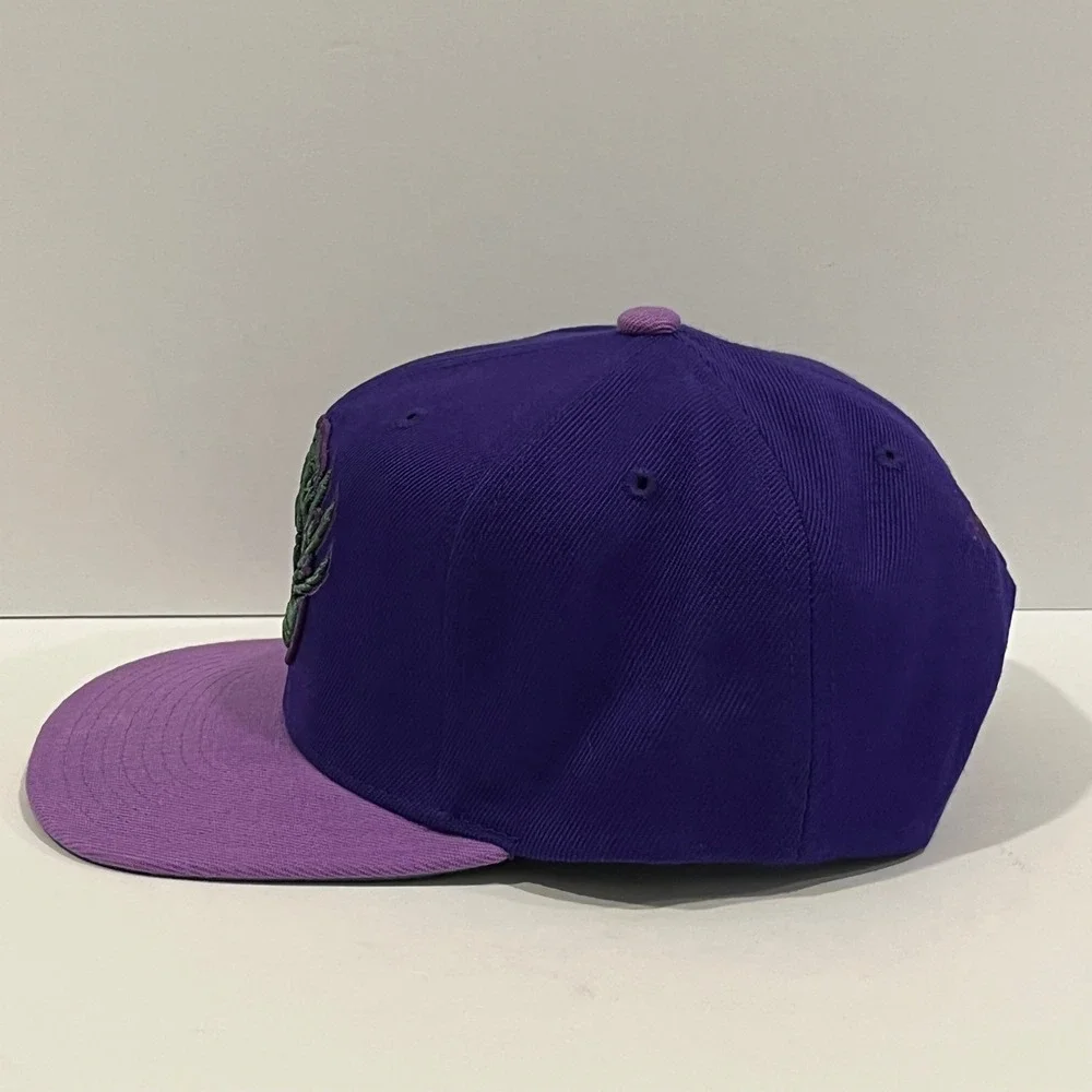 Vancouver Grizzlies HWC Mitchell & Ness PURPLE HAZE Snapback Hat